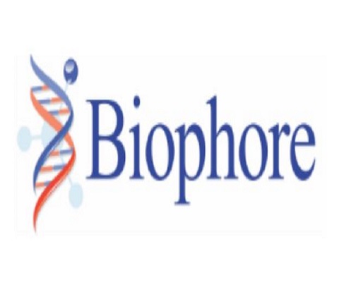 Biophore is Hiring Formulations – Project Management and R&D OSD/Injectable